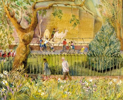 Zoo di Londra, cammelli da Mary Kuper