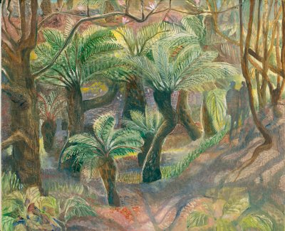 Felci arboree, Trewidden, 2012 da Mary Kuper