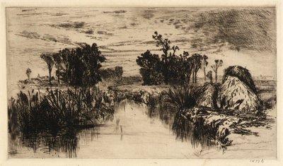 Gattucci e alberi da Mary Nimmo Moran