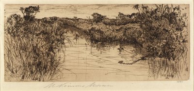 Prato da Mary Nimmo Moran