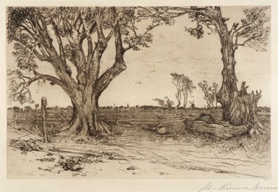 Vecchi tigli - vicino a Easthampton da Mary Nimmo Moran