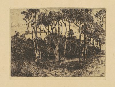 Solitudine da Mary Nimmo Moran