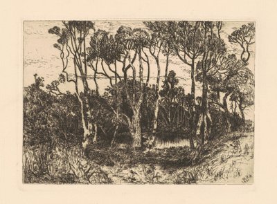 Solitudine da Mary Nimmo Moran