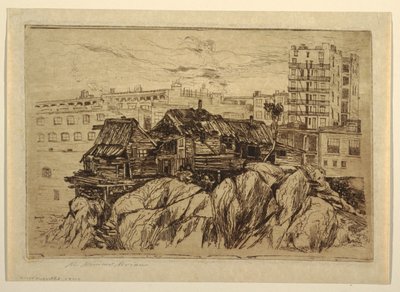 Gli abitanti delle scogliere di New York da Mary Nimmo Moran
