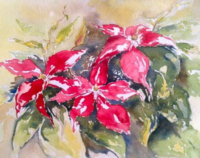 Clematide borgogna da Mary Smith