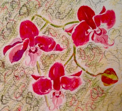 Orchidee da Mary Smith