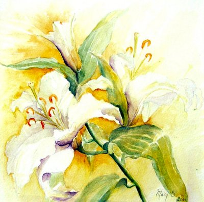 Gigli bianchi da Mary Smith