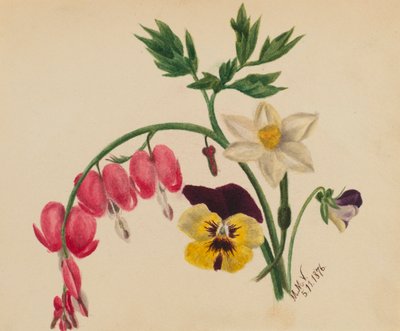 Senza titolo - Fiori misti da Mary Vaux Walcott