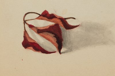 Senza titolo (Foglie d