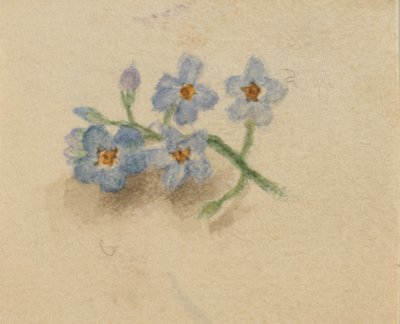 Senza titolo, 1874 da Mary Vaux Walcott