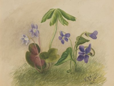 Senza titolo, 1874 da Mary Vaux Walcott