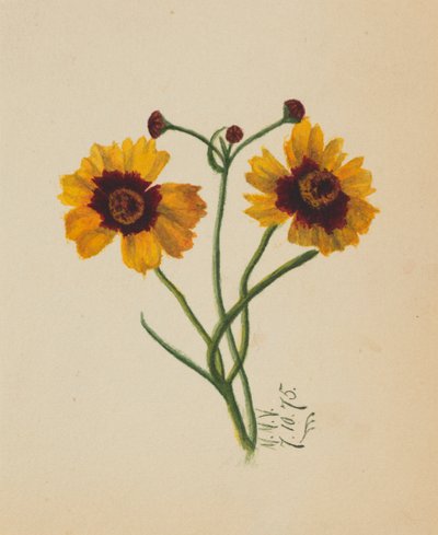 Senza titolo, 1875 da Mary Vaux Walcott
