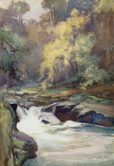 Il salto di Wallace, vicino a Lanark da Mary Young Hunter