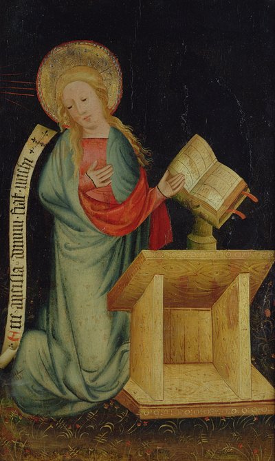Vergine dell