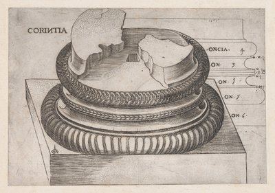 Speculum Romanae Magnificentiae: base corinzia dal Tempio di Marte Ultore, Roma da Master GA
