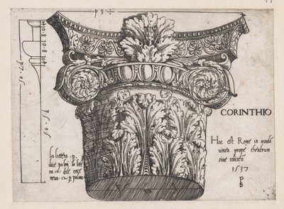 Speculum Romanae Magnificentiae: Capitello Corinzio da Master PS
