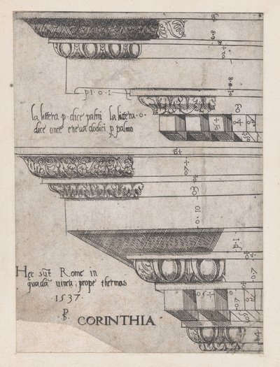 Speculum Romanae Magnificentiae: Entablature Corinzio, 1537 da Master PS
