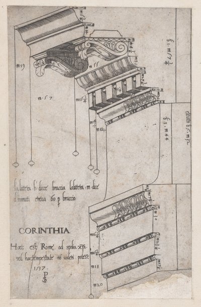 Speculum Romanae Magnificentiae: Trabeazione dal Foro di Traiano, Roma, 1537 da Master PS