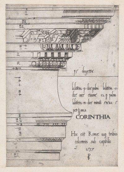 Speculum Romanae Magnificentiae: Trabeazione dal Tempio di Castore e Polluce, Roma, 1537 da Master PS