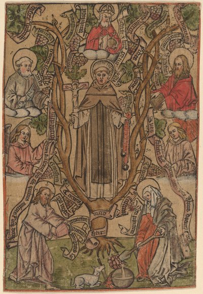 San Domenico da Master S