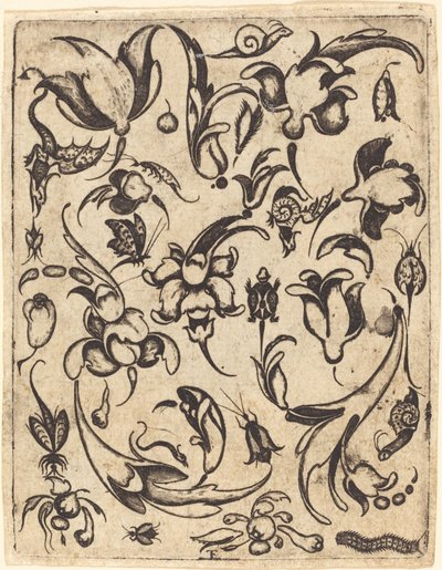 Ornamento da Master T.F.