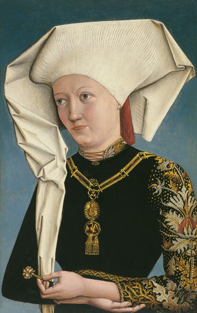 Ritratto di una signora con l
