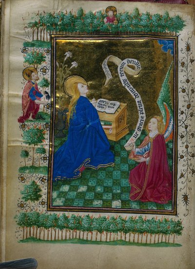 Libro d