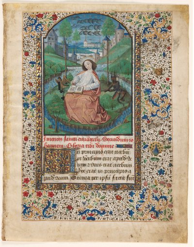 Foglia da un Libro d