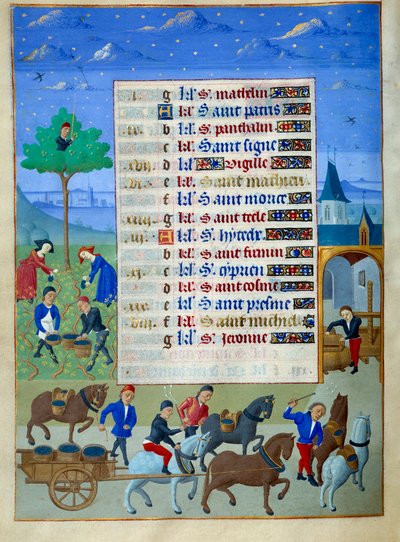Vendemmia e trasporto pagina di manoscritto miniato dal “Libro d