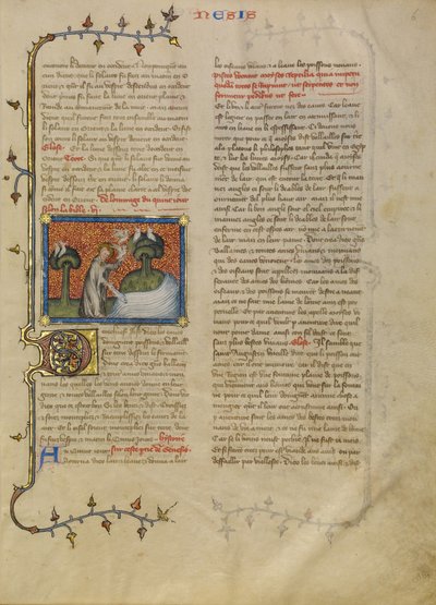 La creazione di uccelli e pesci da Master of Jean de Mandeville
