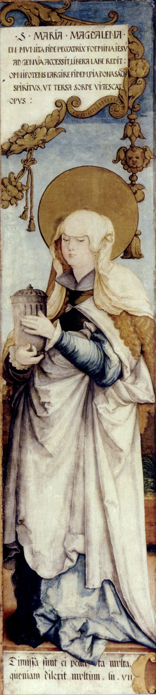 Ala esterna autentica dell