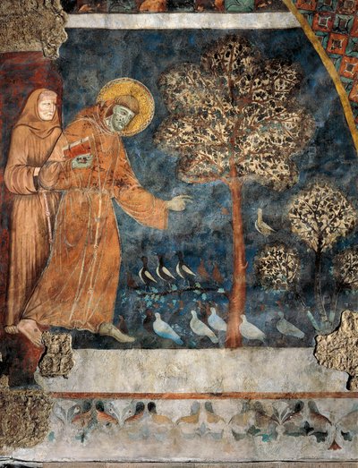Predica agli uccelli da Master of Saint Francis of Assisi