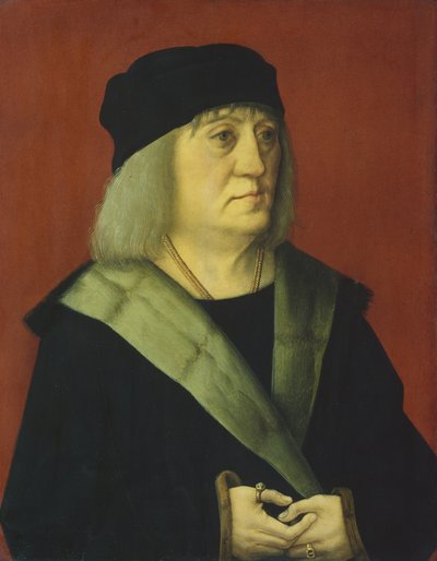 Ritratto del dottor Johann Wespach da Master of Ulm
