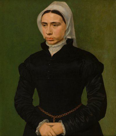 Ritratto di una signora, c.1540-49 da Master of the 1540s