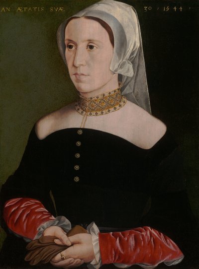 Ritratto di una donna da Master of the 1540s