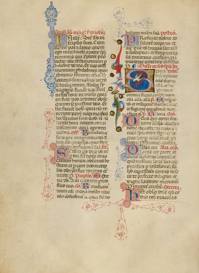 Iniziale S: La colomba dello Spirito Santo da Master of the Brussels Initials