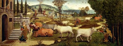Le Passioni di Pasifae, moglie del Re Minosse di Creta, dalla Storia di Teseo da Master of the Campana Cassoni