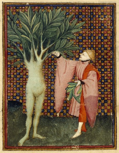Apollo e Dafne da Master of the Cité des Dames
