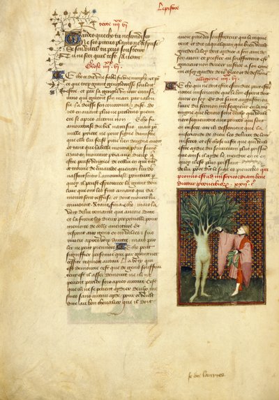 Apollo e Dafne, dalle 