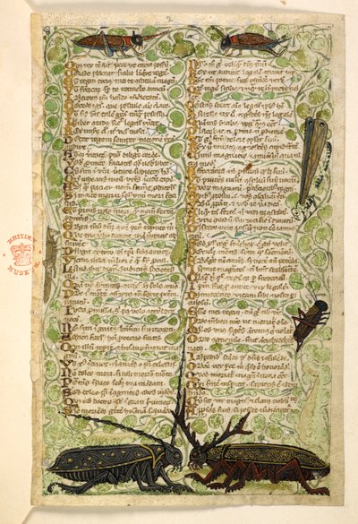 Coleotteri cornuti, grilli e una locusta, Trattato sulle Virtù e i Vizi, e una storia anonima in prosa della Sicilia (frammento) da Master of the Cocharelli Codex
