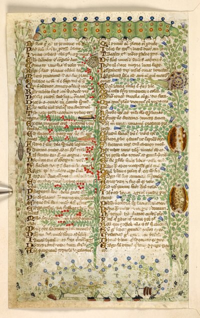 Bruchi, lumache e altri insetti, da un Trattato sulle Virtù e i Vizi, e una storia anonima della Sicilia (frammento), c.1330-40 da Master of the Cocharelli Codex
