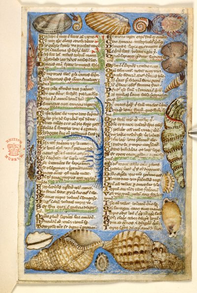 Conchiglie e creature marine, da un Trattato sulle Virtù e i Vizi, e una storia anonima in prosa della Sicilia (frammento), c.1330-40 da Master of the Cocharelli Codex