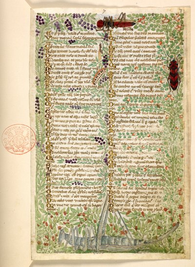 Fiori, frutta e insetti, tra cui una cavalletta e una locusta, da un Trattato sulle Virtù e i Vizi, e una storia anonima in prosa della Sicilia (frammento) da Master of the Cocharelli Codex