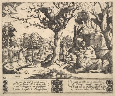 Una fenice seduta su un albero, ali aperte, una varietà di animali sotto, 1530-60 da Master of the Die