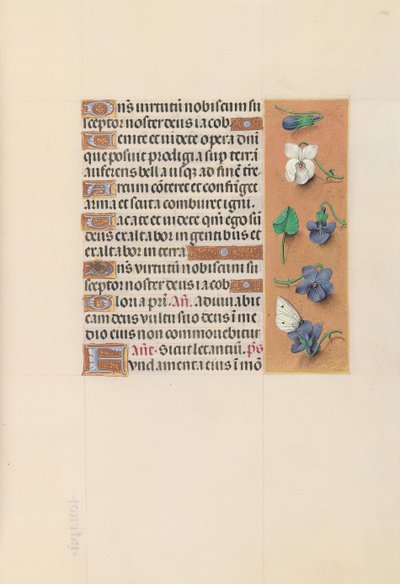 Ore della Regina Isabella la Cattolica, Regina di Spagna: Fol. 106r da Master of the First Prayerbook of Maximillian