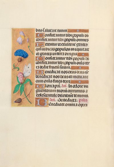 Ore di Isabella la Cattolica, Regina di Spagna: Fol. 118v, c. 1500 da Master of the First Prayerbook of Maximillian