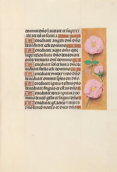 Ore di Isabella la Cattolica, Regina di Spagna: Fol. 119r, c. 1500 da Master of the First Prayerbook of Maximillian