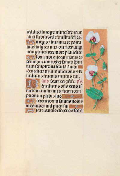Ore di Isabella la Cattolica, Regina di Spagna: Fol. 123r, c. 1500 da Master of the First Prayerbook of Maximillian
