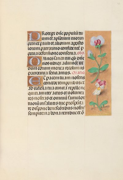 Ore della Regina Isabella la Cattolica, Regina di Spagna: Fol. 125r, c. 1500 da Master of the First Prayerbook of Maximillian