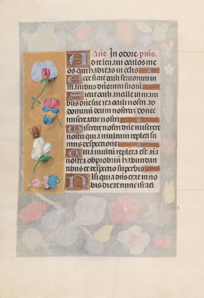 Ore della regina Isabella la Cattolica, regina di Spagna: Fol. 137v da Master of the First Prayerbook of Maximillian